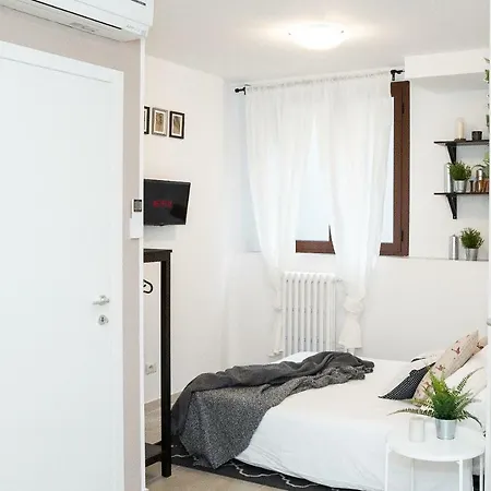 Paruta 65 *