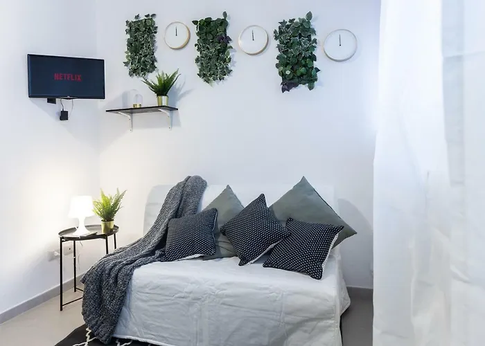 Paruta 65 * 밀라노